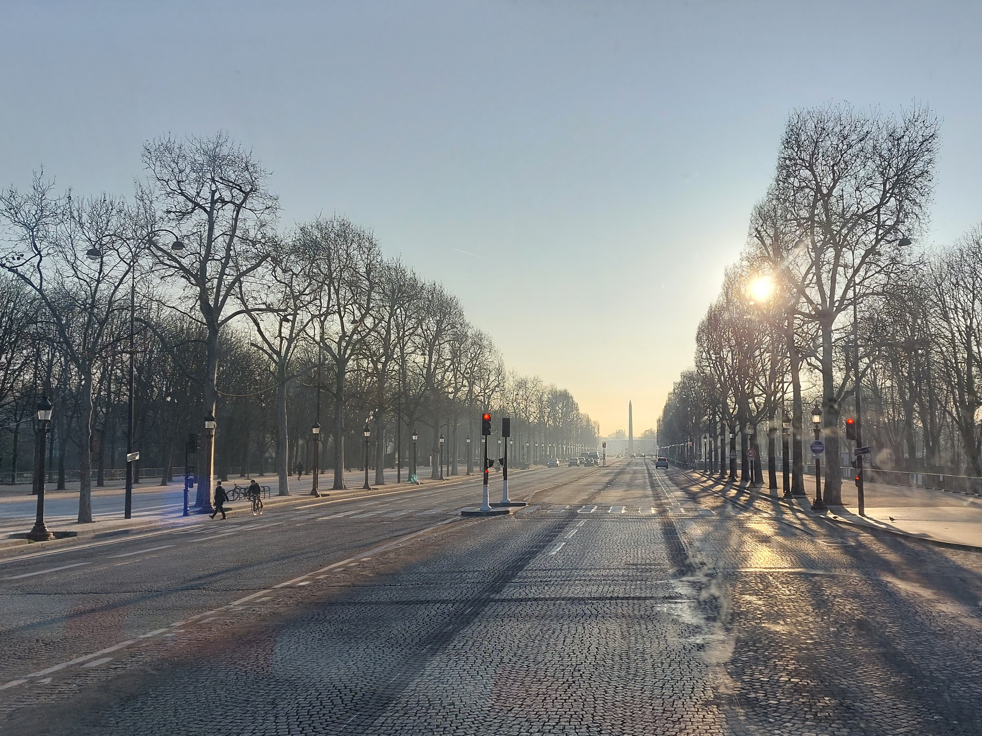 Travaux de rénovation et de valorisation des jardins des Champs-Elysées