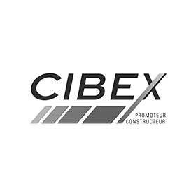 Logo Cibex groupe