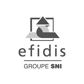 Logo EFIDIS Groupe SNI